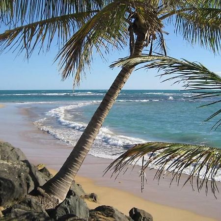 Comfortable And Affordable Deal Close To Beach And Rainforest Río Grande Eksteriør billede