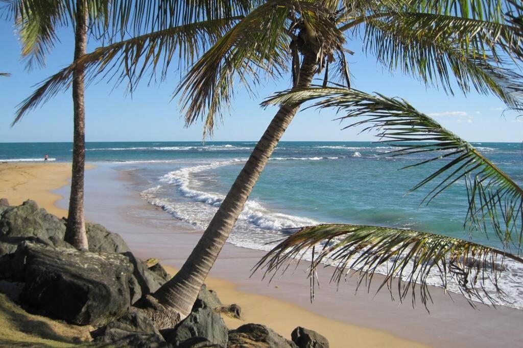 Comfortable And Affordable Deal Close To Beach And Rainforest Río Grande Eksteriør billede